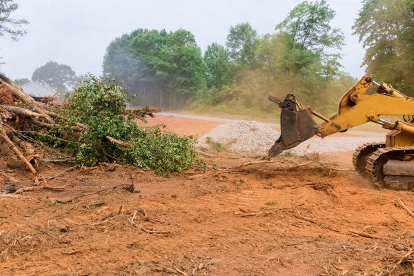Ground Clearing in Saint George