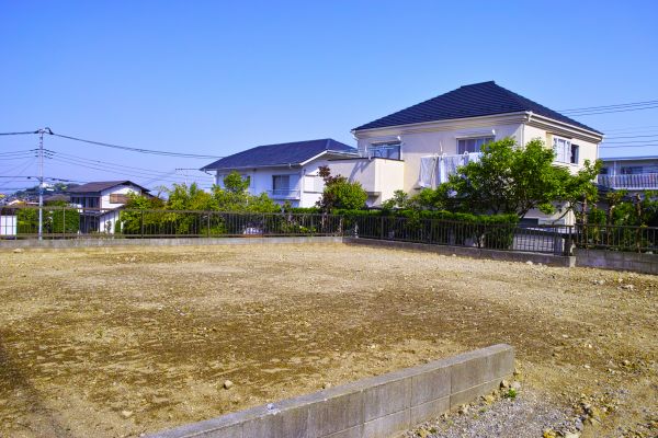 Cost of Lot Clearing Service in Saint George