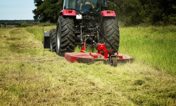 Brush Clearing Service in Saint George
