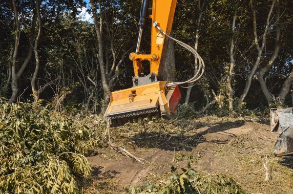 Brush Removal Service in Saint George