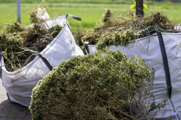 Cost of Bushes Clearing in Saint George
