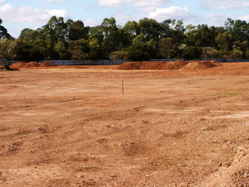 Site Preparation Work