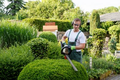 Vegetation Removal Process